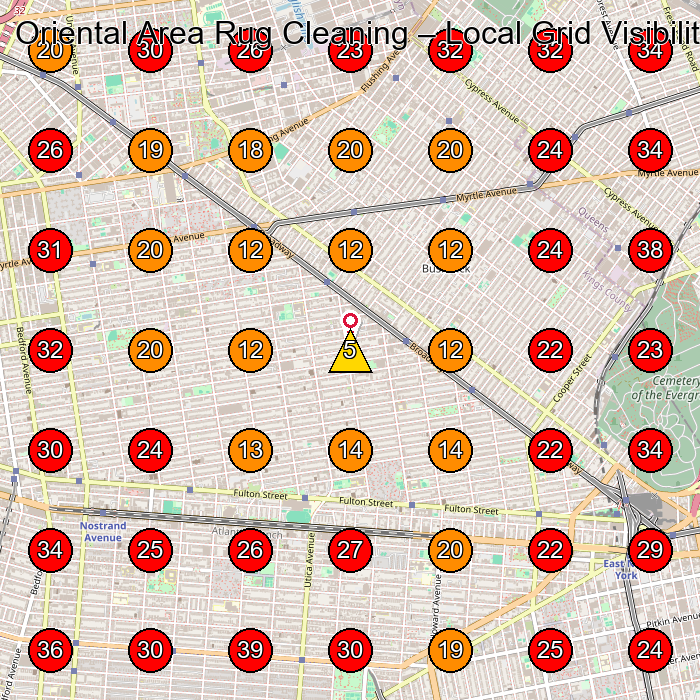 Oriental Area Rug Cleaning GeoGrid visibility map for Carpet Cleaning Service in Brooklyn